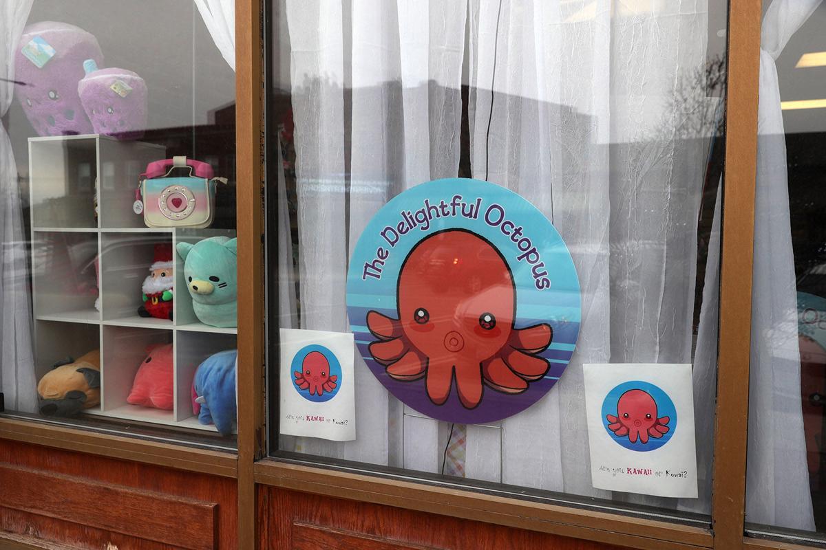 The Delightful Octopus (copy)