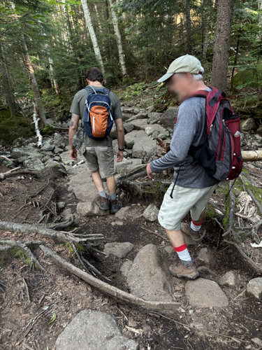 DEC Forest Rangers – Week in Review