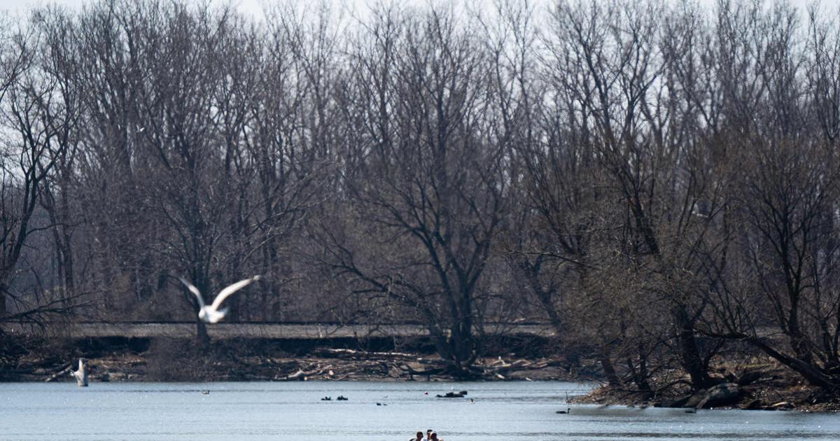 Rowing takes grit, passion, perseverance and humor