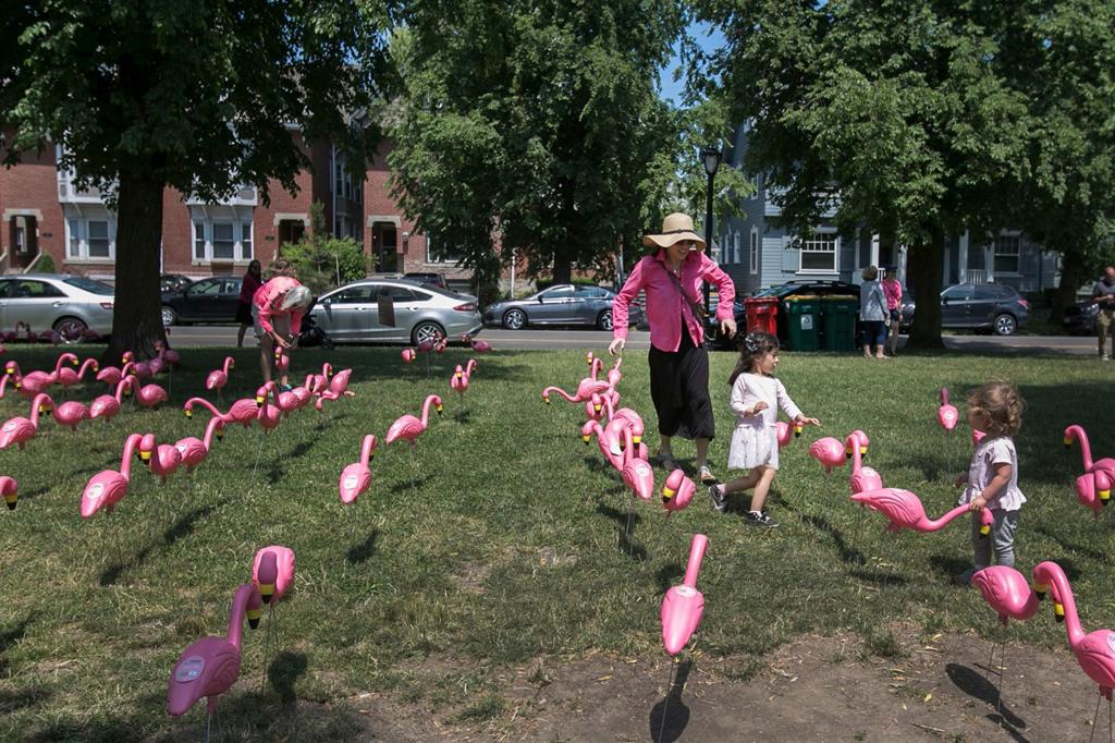 Pink Floatmingos Get Names Entertainment Buffalonews Com