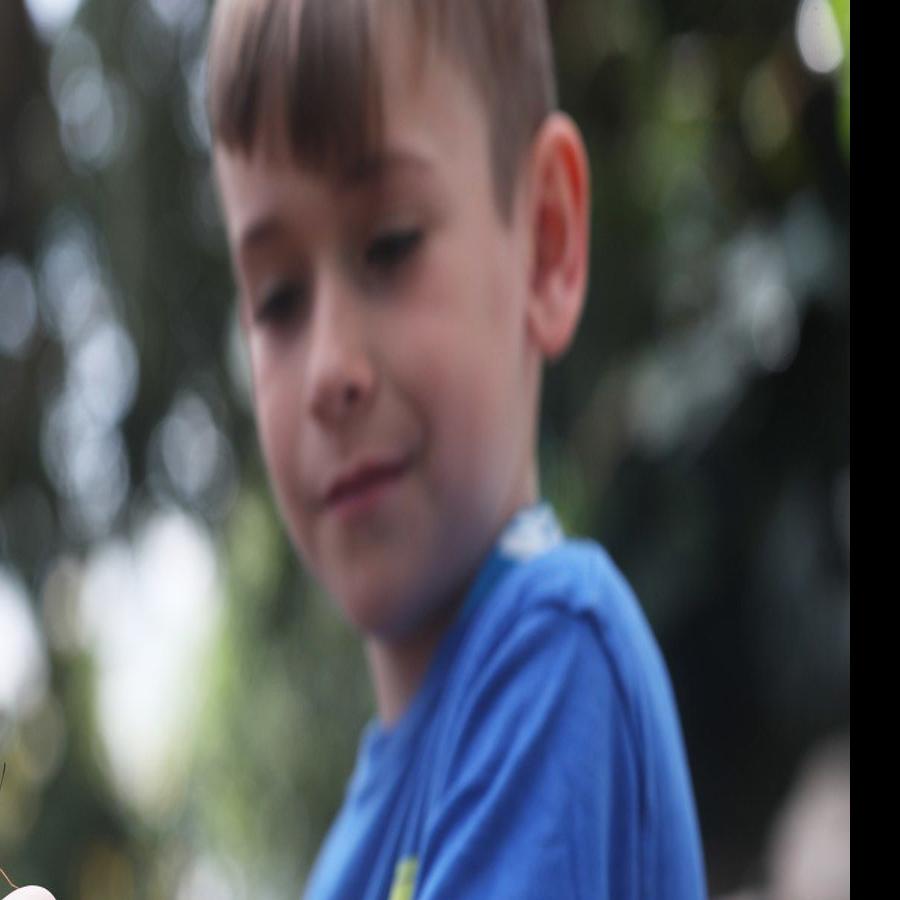 Experience This Butterfly Conservatory In Niagara Falls Ont Entertainment Buffalonews Com