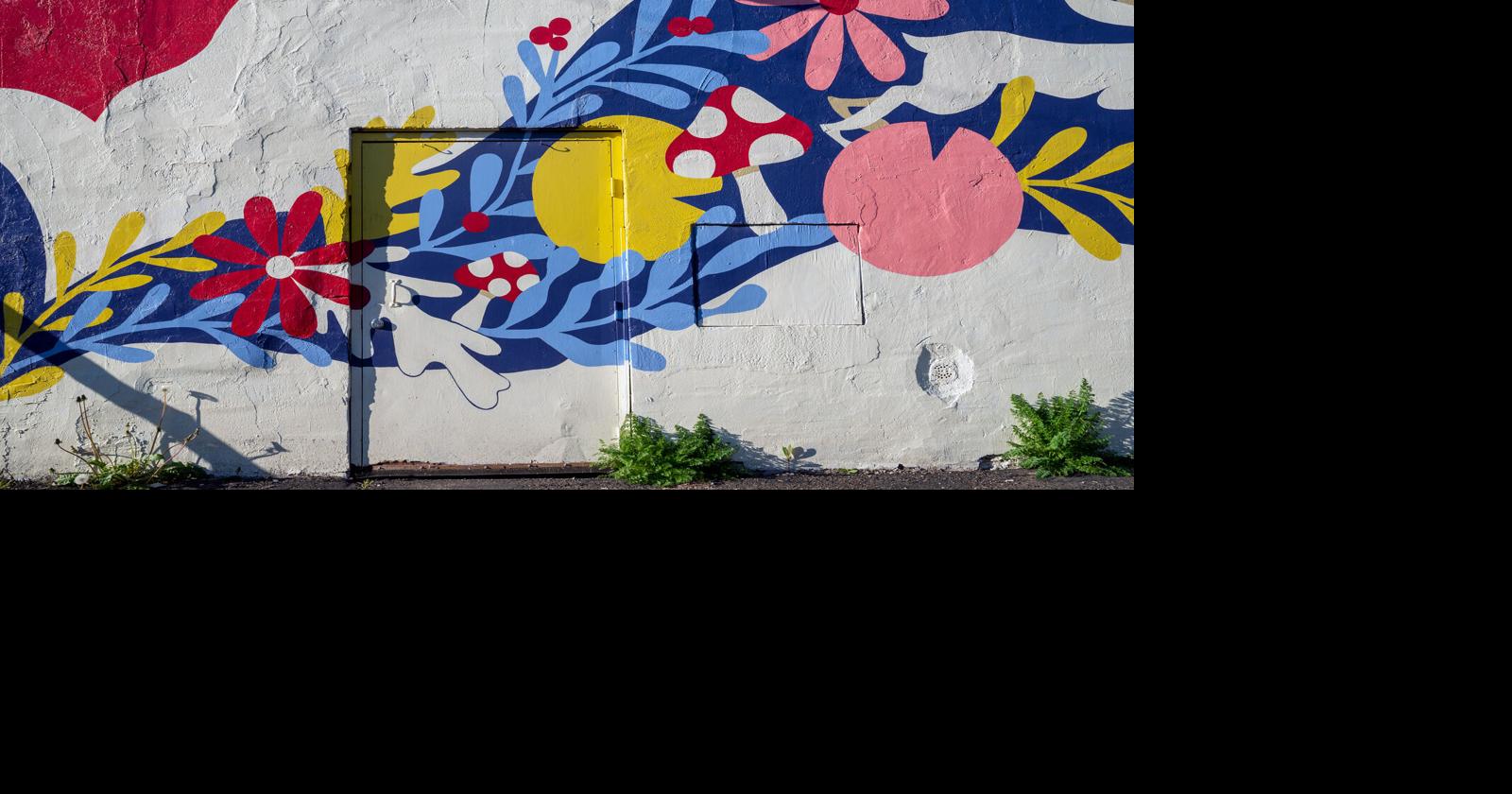 Springville grapples with freedom of expression and community character ...