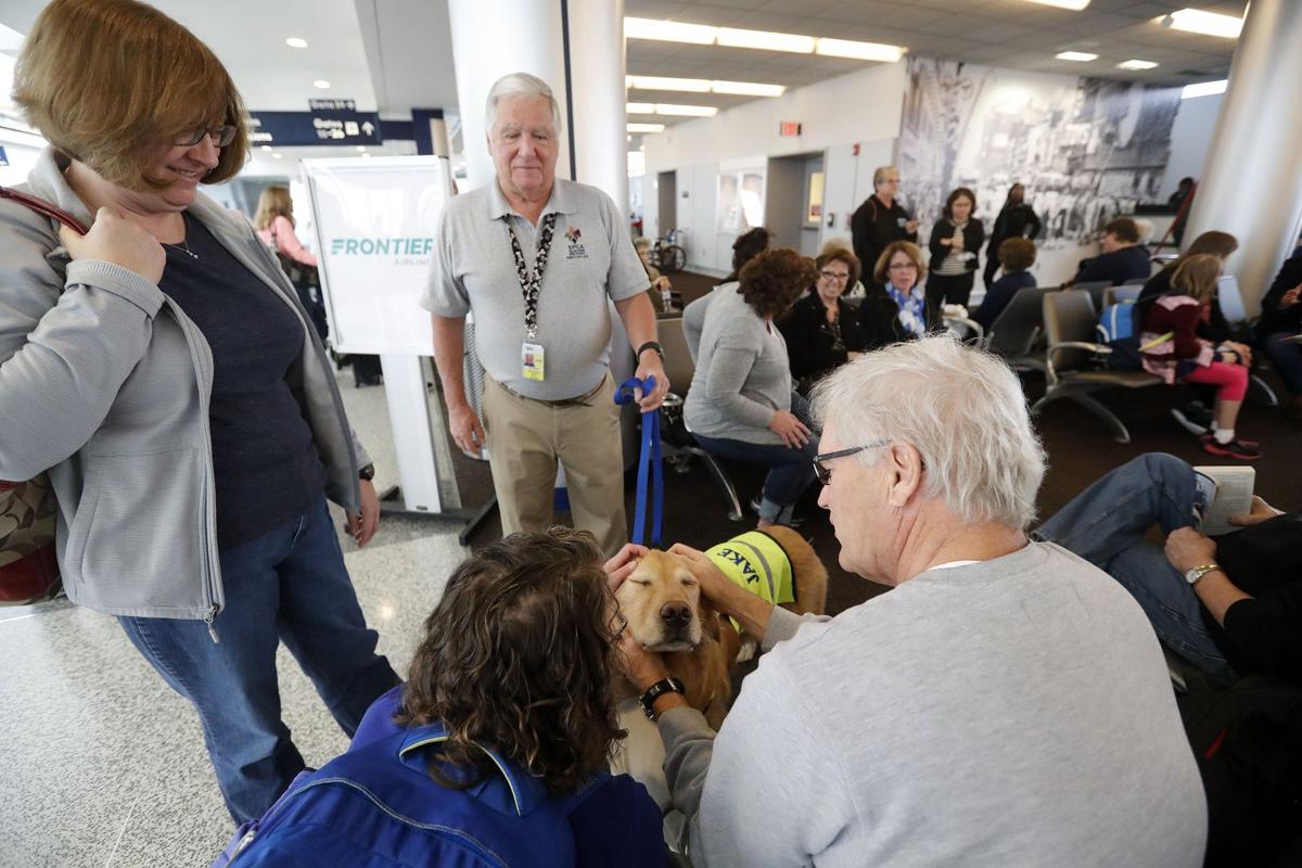 Buffalo Airport Has Gone To The Dogs And People Are Thrilled Local News Buffalonews Com