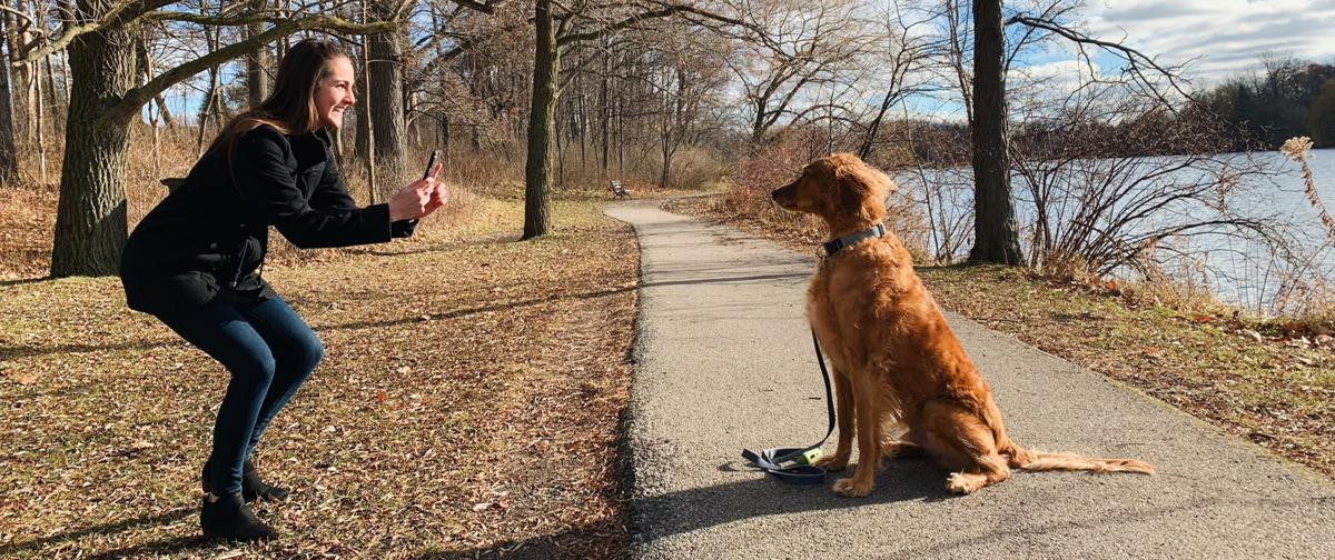 instagram dogs toby goldendoodle