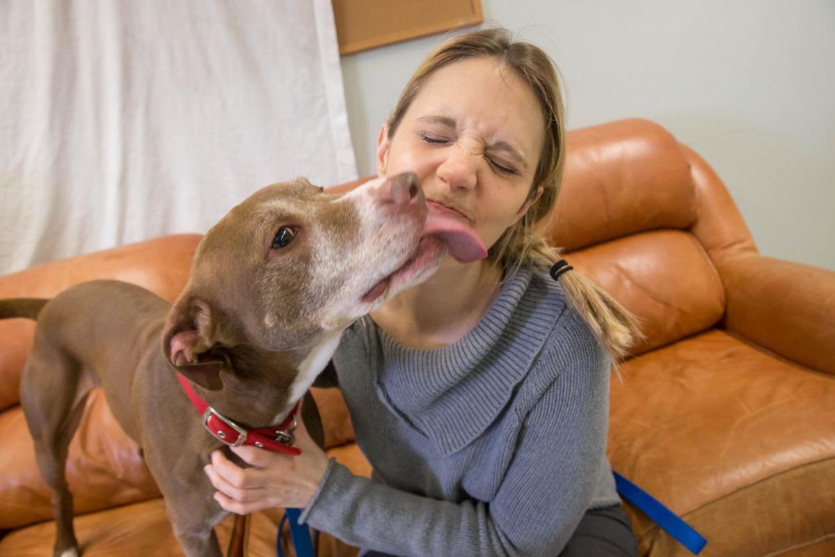 NIAGARA SPCA LEWIS GEE
