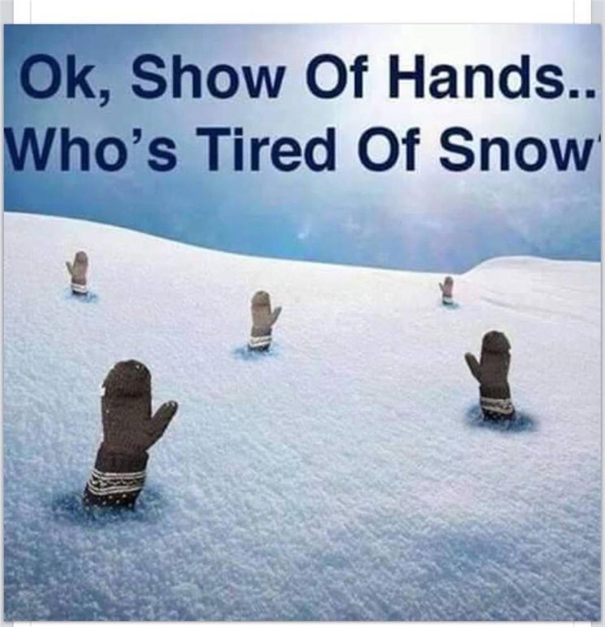 Cold Weather Memes Multimedia Buffalonews Com Do new york city and buffalo feel like they are in two different states? cold weather memes multimedia