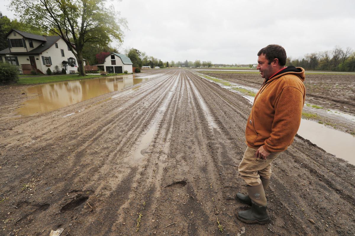 A year after wilting under dry heat, crops threatened by too ...
