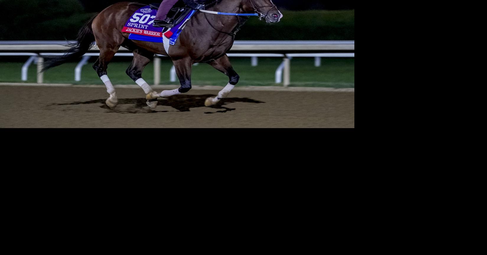 Post Time Breeders' Cup Saturday undercard thoughts