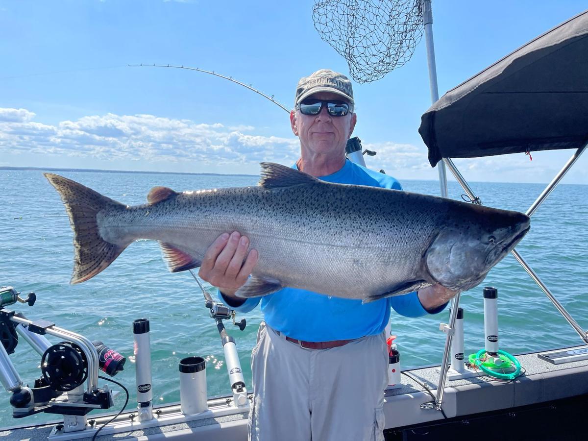 40-inch king salmon