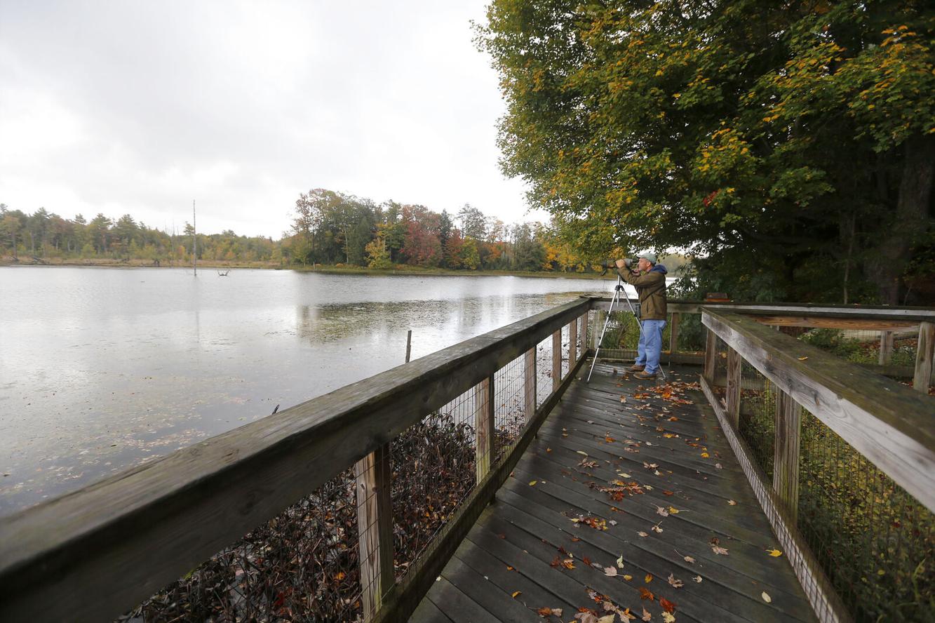 Afternoon drive Take a deep breath, connect to nature at Beaver Meadow