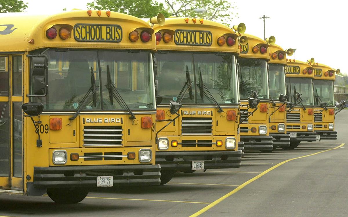 LOCAL SCHOOL BUS GEE