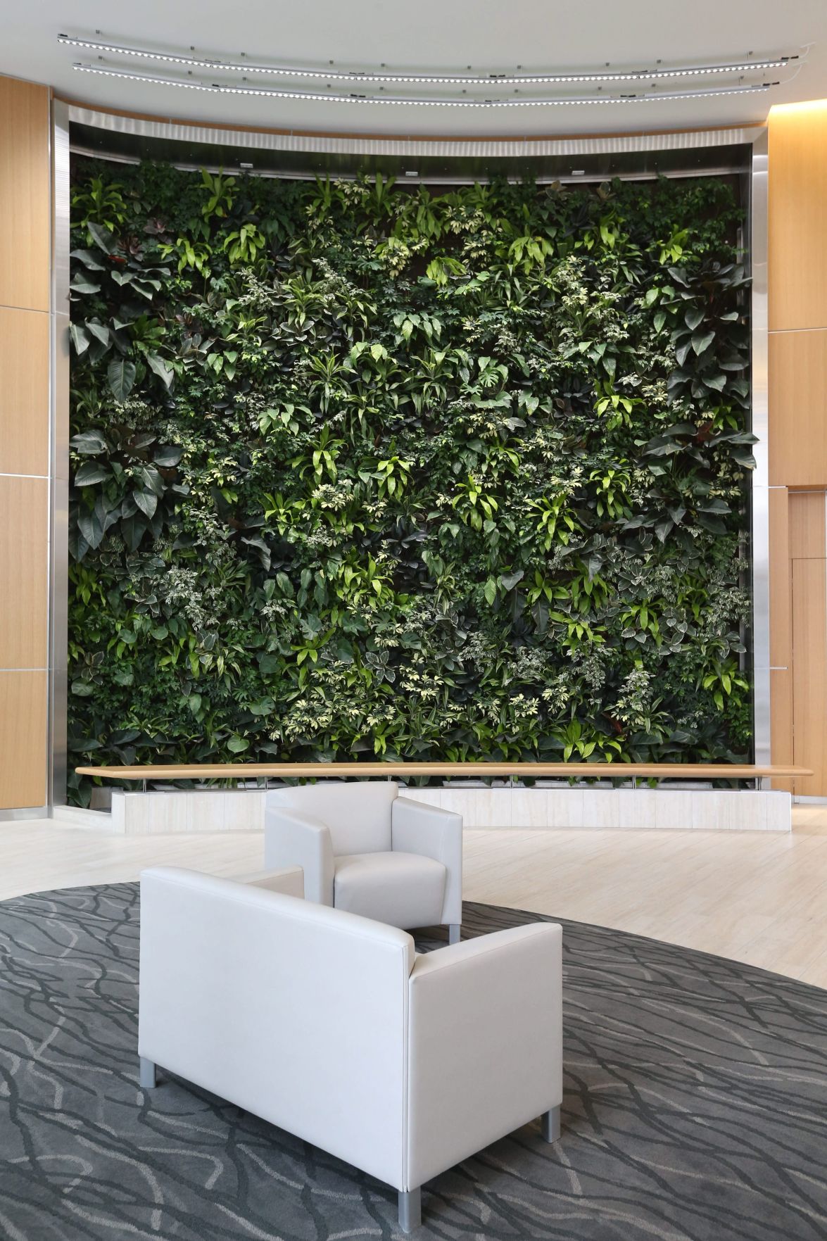 vertical green wall on Great Gardening Green Walls Filter Air Provide Beauty To Work Spaces Lifestyles Food Home Health Buffalonews Com
