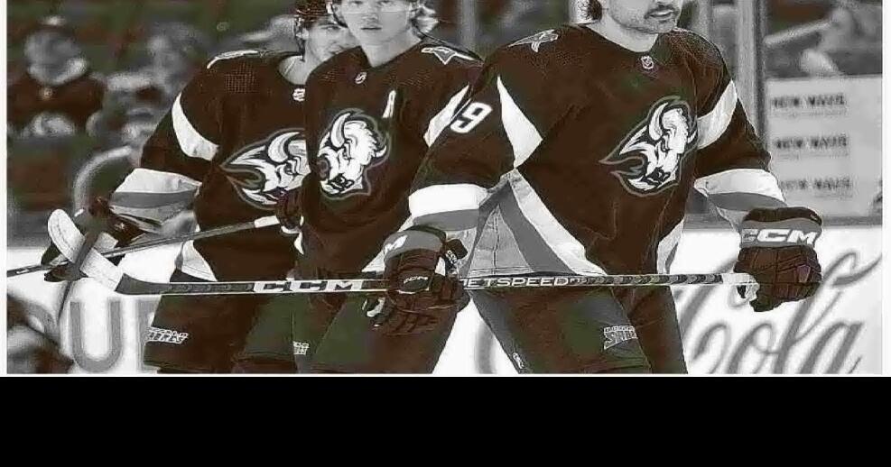 CCM Dominik Hasek Buffalo Sabres Goat Head NHL Hockey Jersey