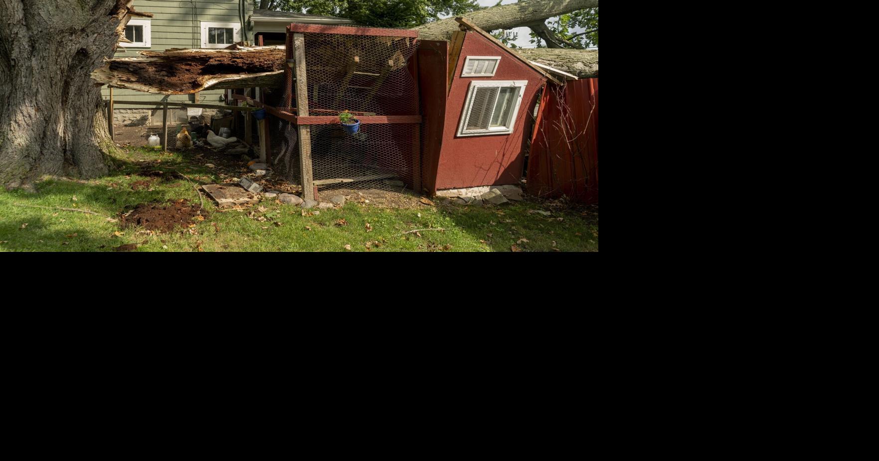 How Amherst came together, recovered from chaotic summer storm