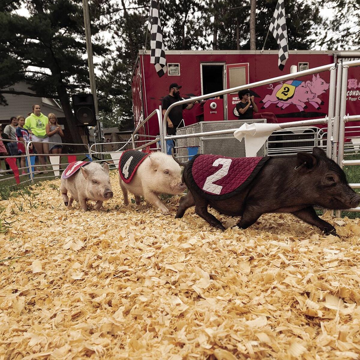 A Must Do List For Erie County Fair First Timers Entertainment Buffalonews Com Erie County Fair 2022 Schedule