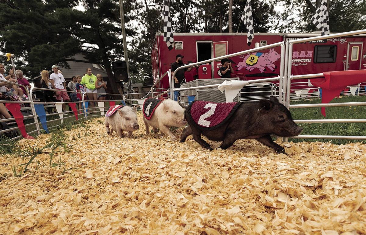 A Must Do List For Erie County Fair First Timers Entertainment Buffalonews Com
