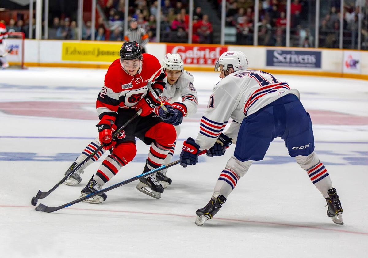 Buffalo Prospect Jack Quinn is Red-Hot - The Hockey News