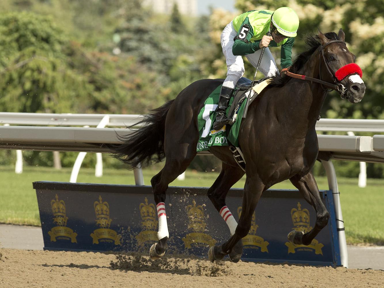 Woodbine Horse Racing App Woodbine Horse Racing App