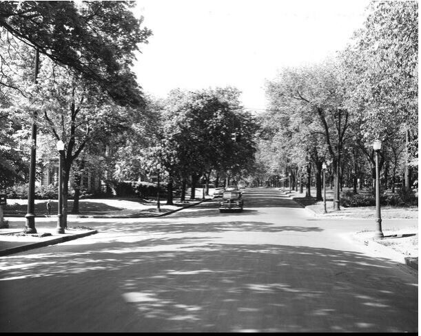 Humboldt Parkway transformation: Necessity or racism? - Vimarsana News