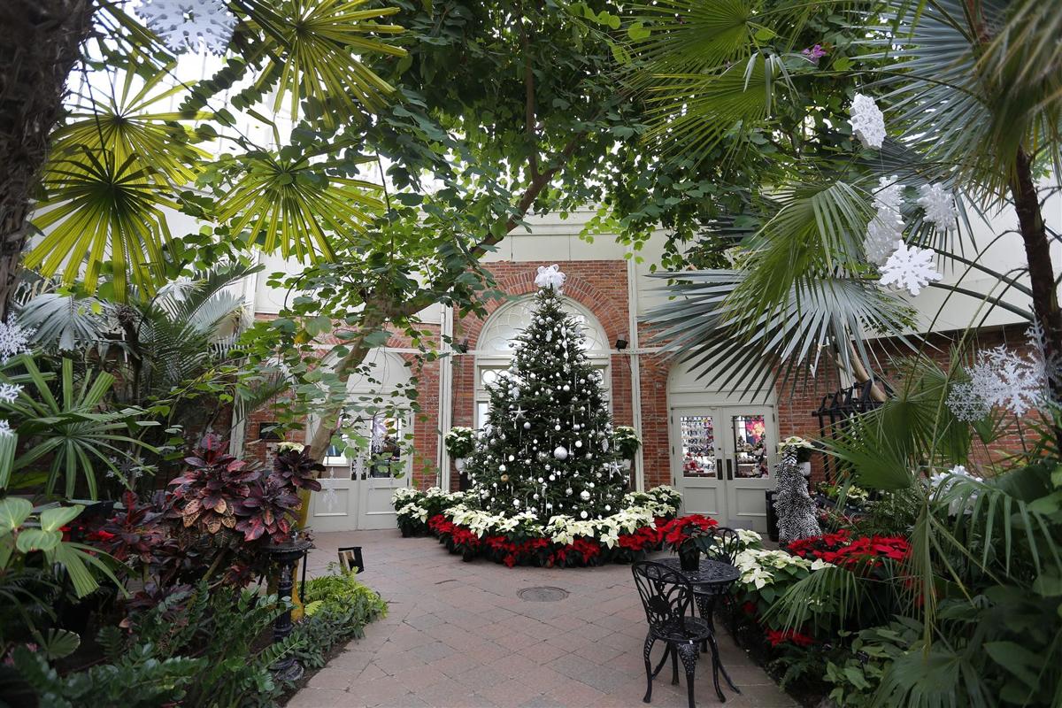 Christmas at the Buffalo and Erie County Botanical Gardens | Multimedia