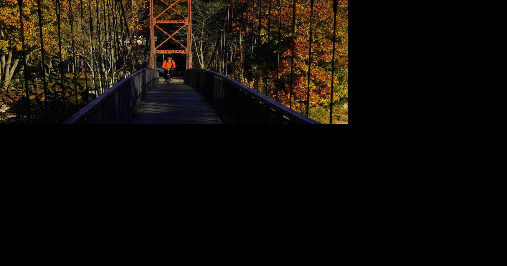 Drought has muted this year's leaf-peeping season | Hot off the Wire podcast