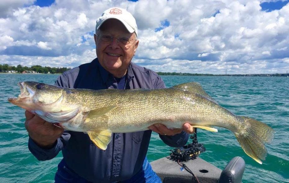 More Lake Erie Walleye Caught In 2017 Than In 30 Prior Years