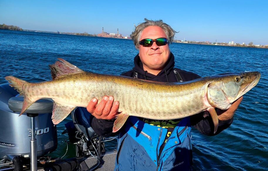 Musky in upper Niagara