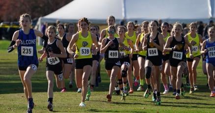 Here are the Western New York runners participating in the state Federation meet Here are the Western New York runners participating in the state Federation meet