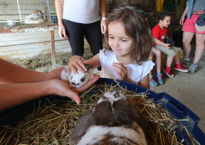Mother's Day at Kelkenberg farm becomes annual rite of spring