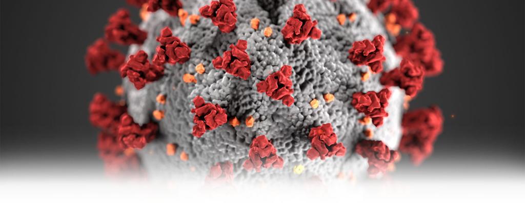 Coronavirus Outbreak Coverage Local News Buffalonews Com