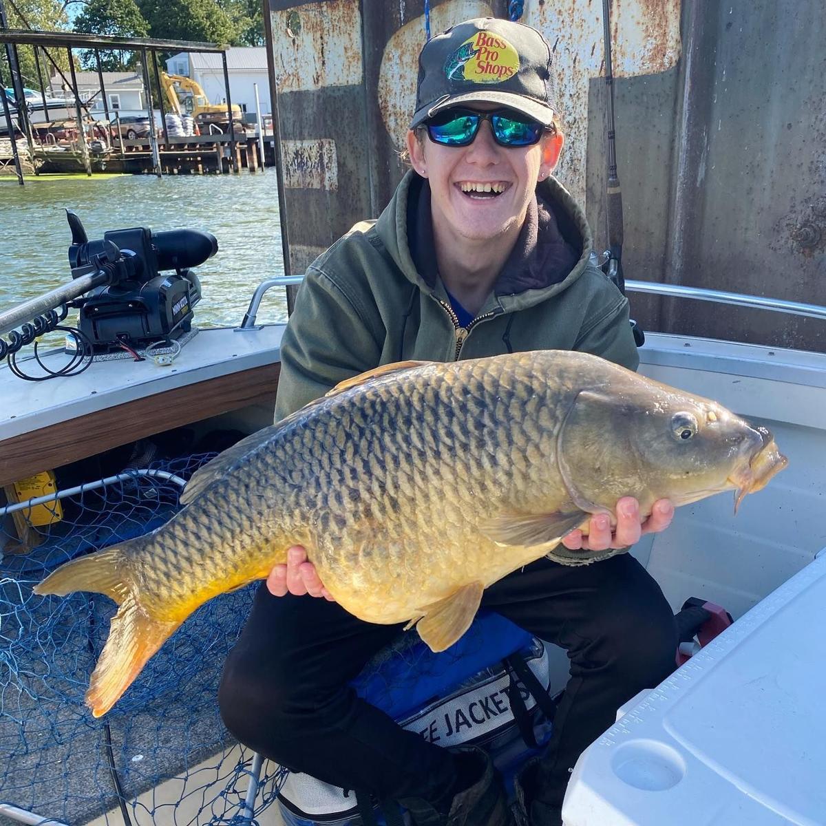 Olcott Harbor carp