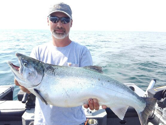 Credit the Coho with starting Lake Ontario's salmon craze