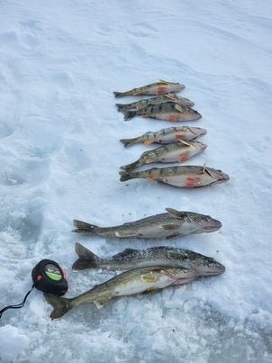 The Fishing Beat: Cold waters making for some tough fishing