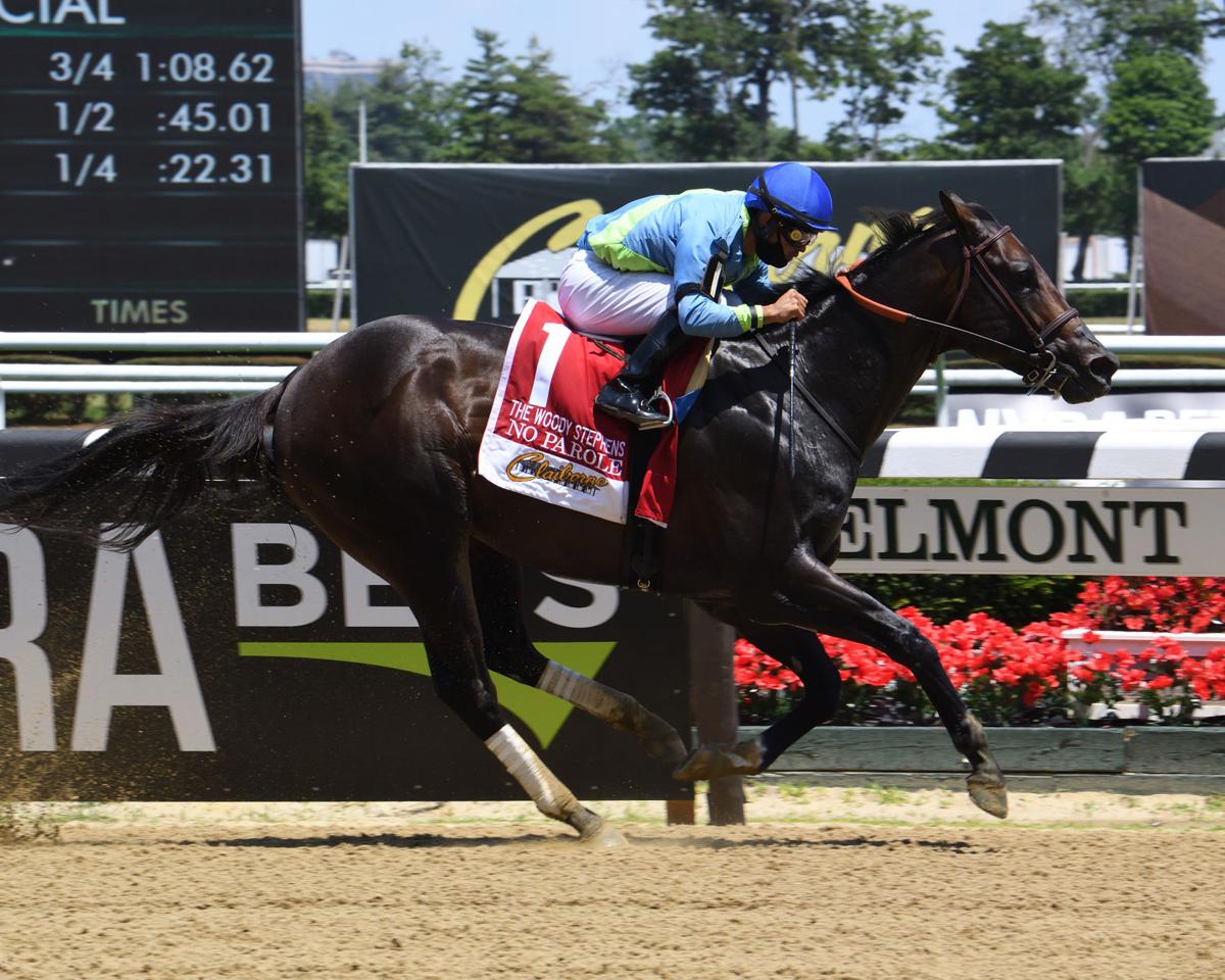 Favorites Corral Belmont Undercard Races Buffalo Sports Buffalonews Com