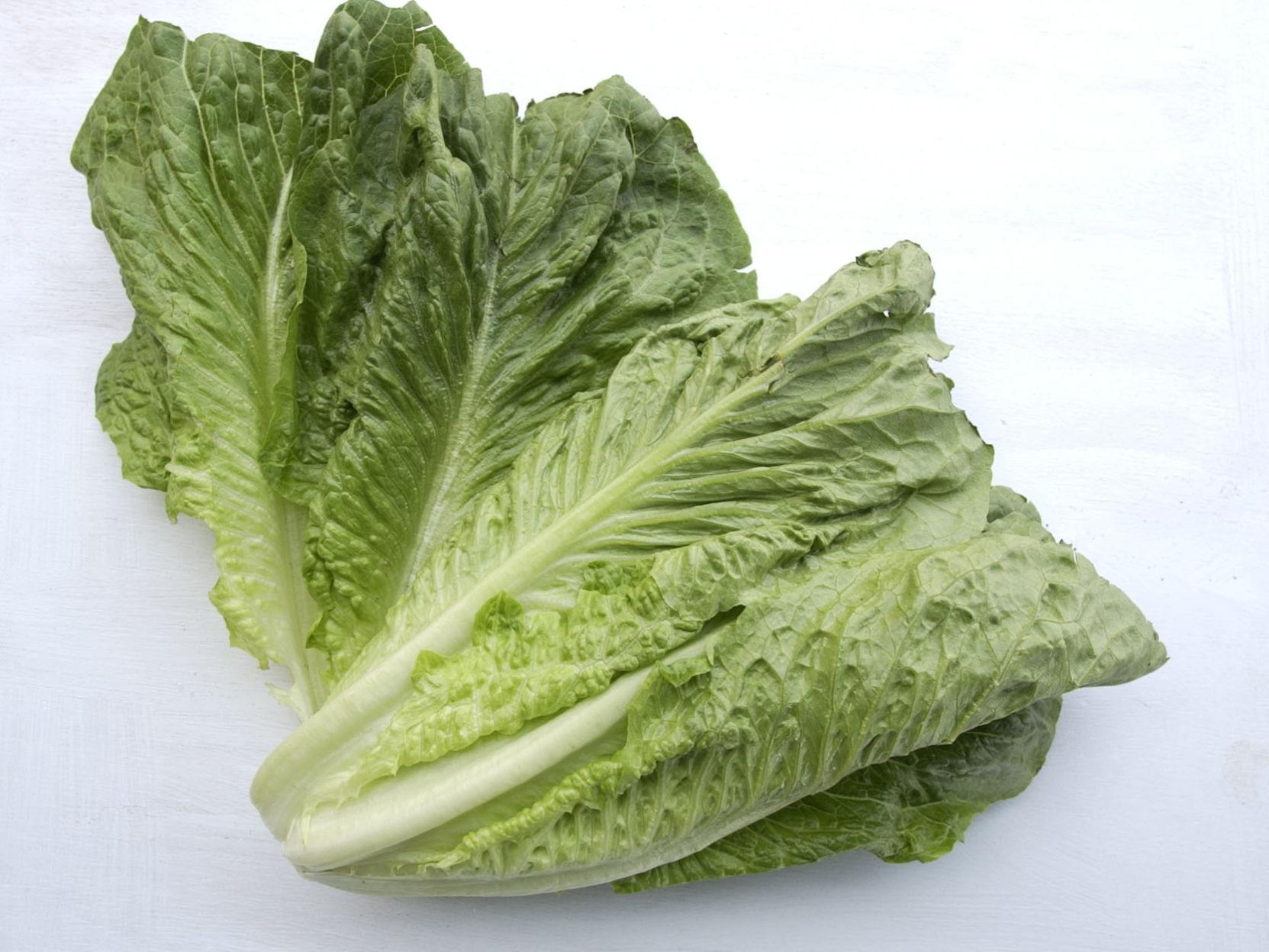 Romaine Lettuce Is Not Safe To Eat Cdc Warns U S Consumers National News Buffalonews Com
