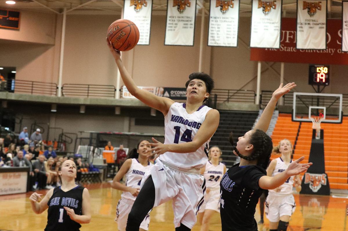 Hamburg Williamsville South Girls Claim Class A Titles In Without