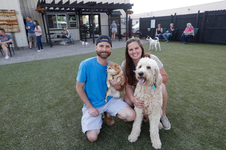 buffalo news classified pets