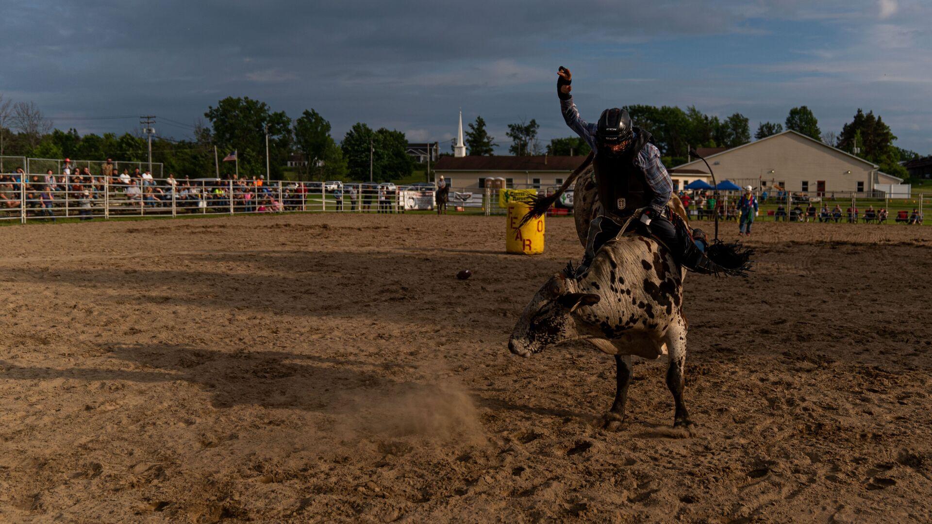 Photos Riding the bulls at the Alden Rodeo
