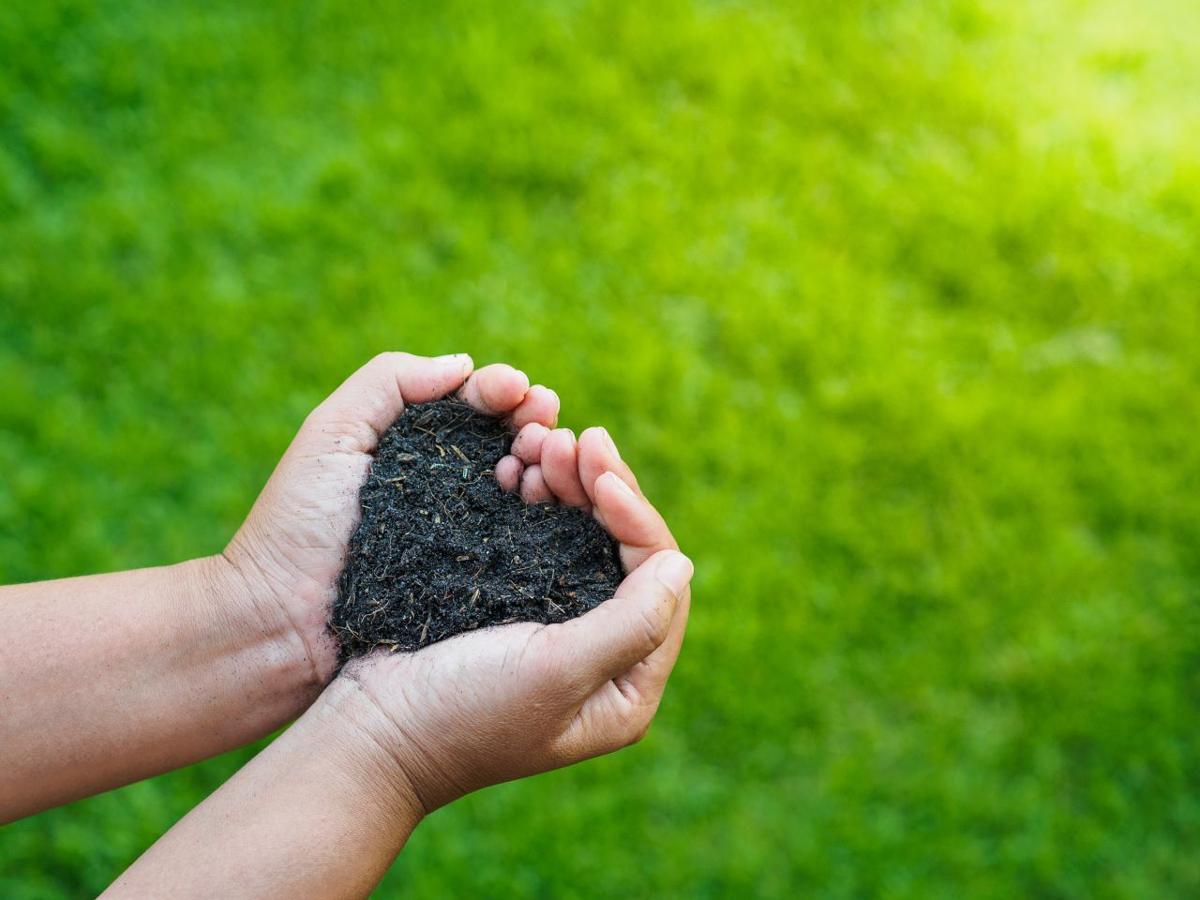 Eart day, save the earth, love concept. the woman hand holding a
