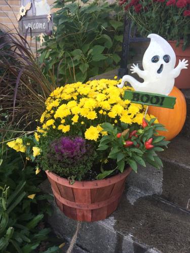 Mum's the word: Readers share photos of this fall favorite