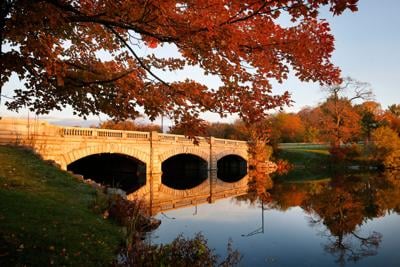 Gusto Guide to Fall