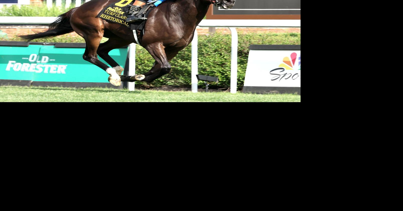 Old Forester Bourbon Turf Classic winner Rhetorical runs in Saturday’s Manhattan at Saratoga.
