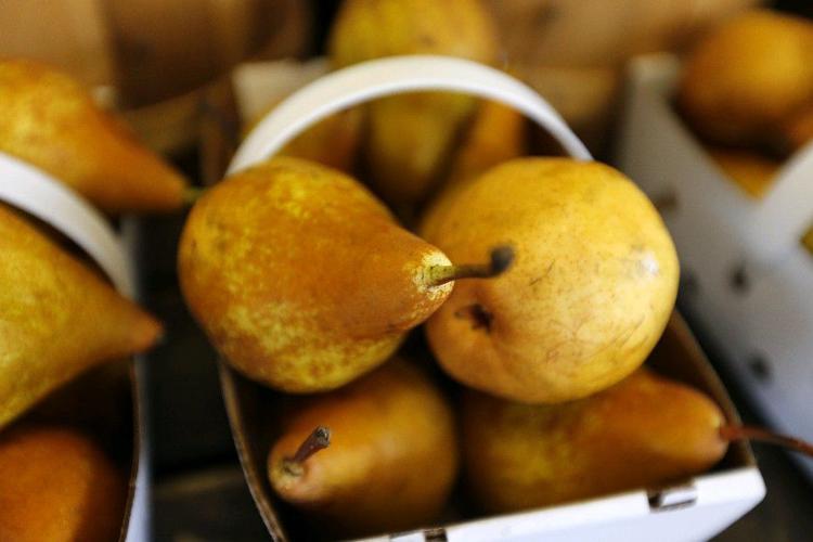 County Fair Foods Watertown : BOSC PEARS