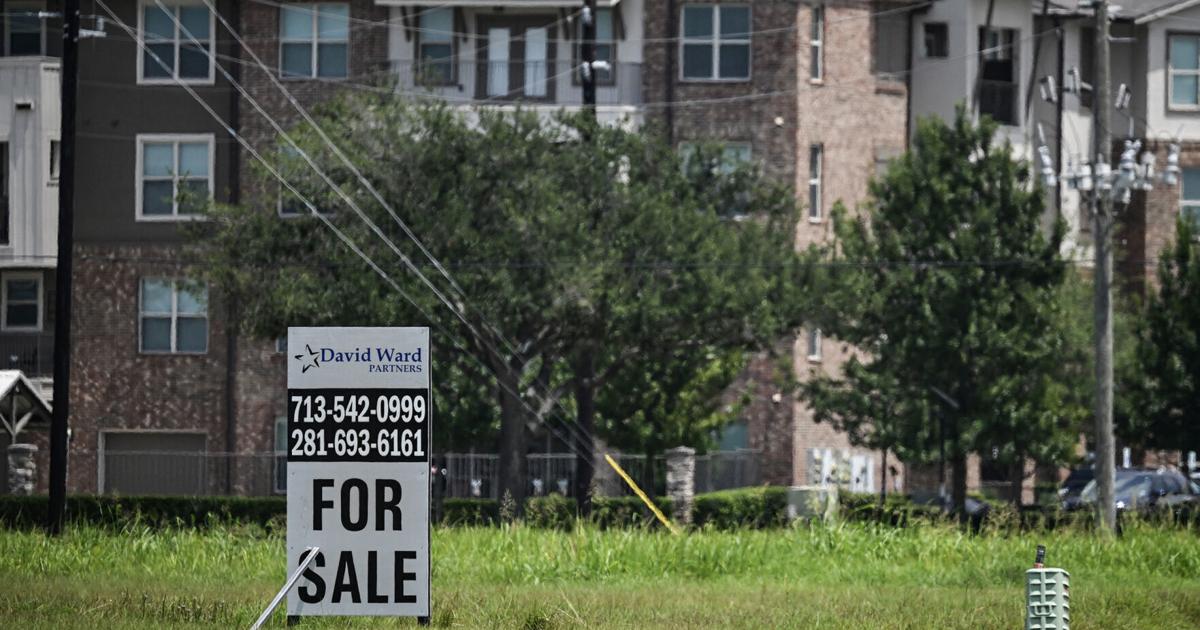 Low birth rate could create US housing surplus in coming decade