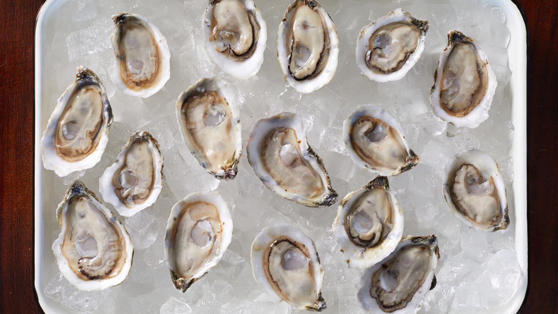 Taste of the sea: An oyster flavor guide | Food-and-cooking