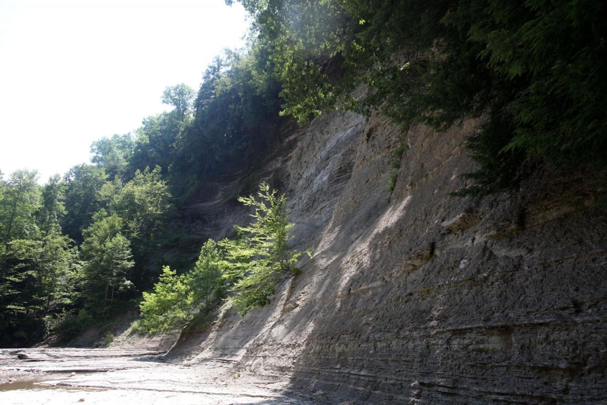 Death Of 16 Year Old Marks At Least The 10th Recreation Related Death In Zoar Valley Local News Buffalonews Com