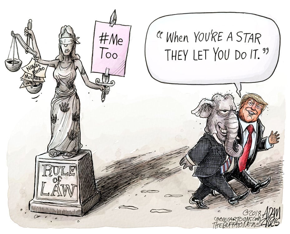 rule of law cartoon