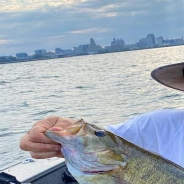 The Fishing Beat Some Tips As Contests Begin In Lake Ontario Lake Erie Buffalo Sports Buffalonews Com