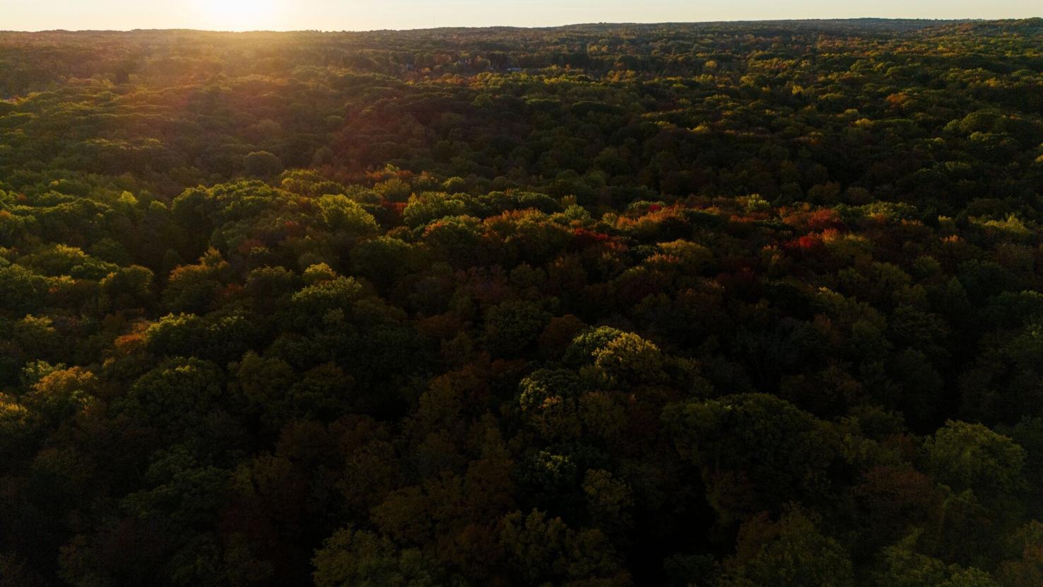 Photos Fall foliage around Western New York