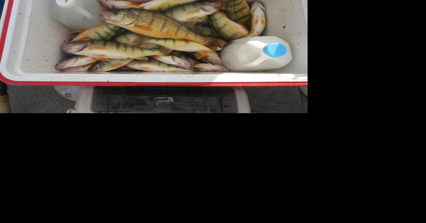 Blade Fishing Report: Perch hauls picking up in Lake Erie